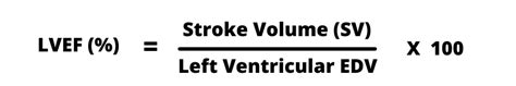 lv equation|how to calculate lvef.